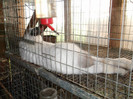 Picture 4615