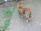 DSCN0298