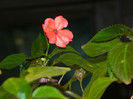 DSCN9430