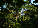DSCN9438