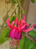 DSCN9453