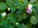DSCN9458