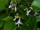 DSCN9465