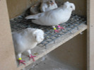 DSCN0171