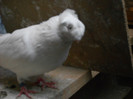 DSCN0177