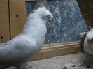 DSCN0182