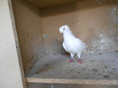 DSCN0188