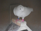 DSCN0198