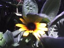 03-09-12_1115