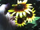 03-09-12_1117