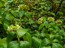 DSCN9631
