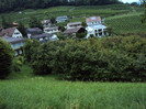 DSC00612