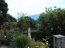 DSC00654