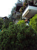DSC00667