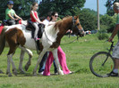 poza 008