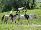 poza 016