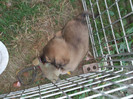 Picture 4581