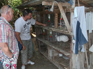Picture 4585
