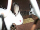 Picture 4588