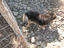 Picture 4591