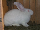 Picture 4617