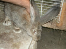 Picture 4619