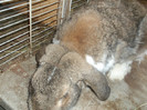Picture 4624