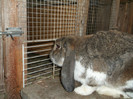 Picture 4625