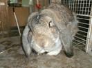 Picture 4626