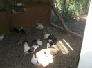 Picture 4645