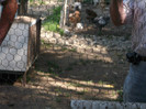 Picture 4647