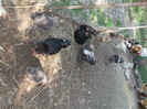 Picture 4657