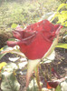 Photo0638