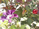 Photo0659