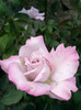 Photo0662