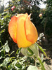 Photo0668