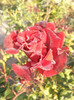 Photo0672