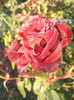 Photo0673