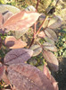 Photo0674