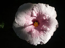 P1180170
