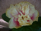 P1180178