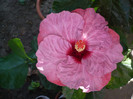 P1180179