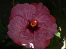 P1180180