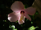 P1180182