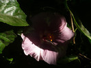 P1180184