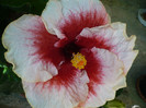 P1180188