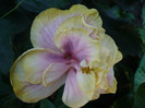 P1180189