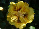 P1180192