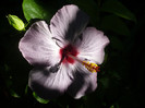 P1180195