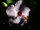 P1180196